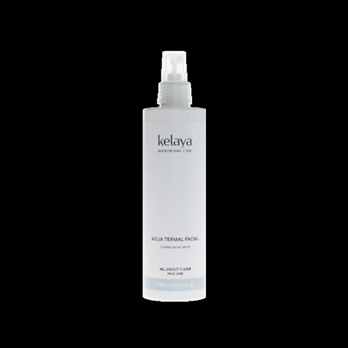 Agua termal 300ml